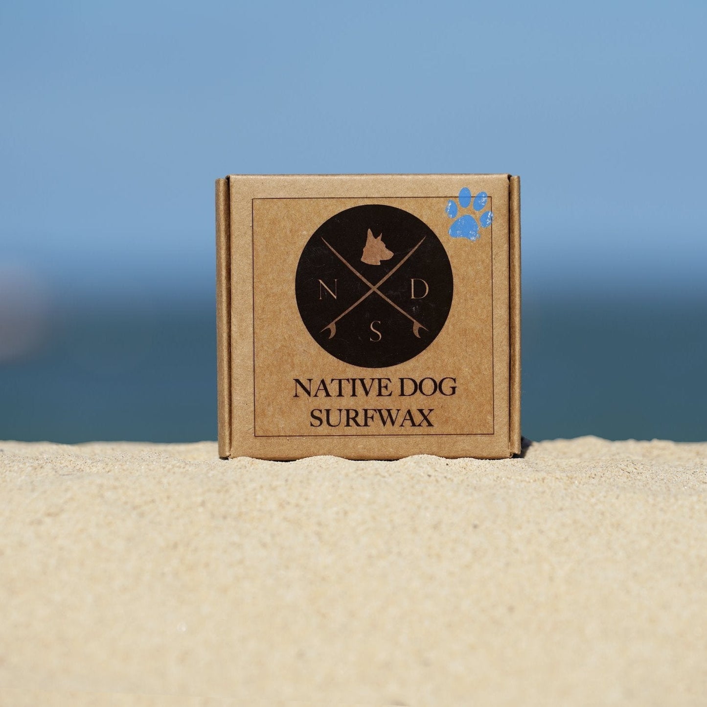 Surf's Up Bundle